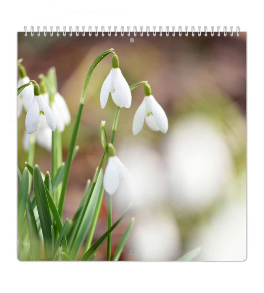 mellan familjekalender - veckoöversikt (vaggkalender)