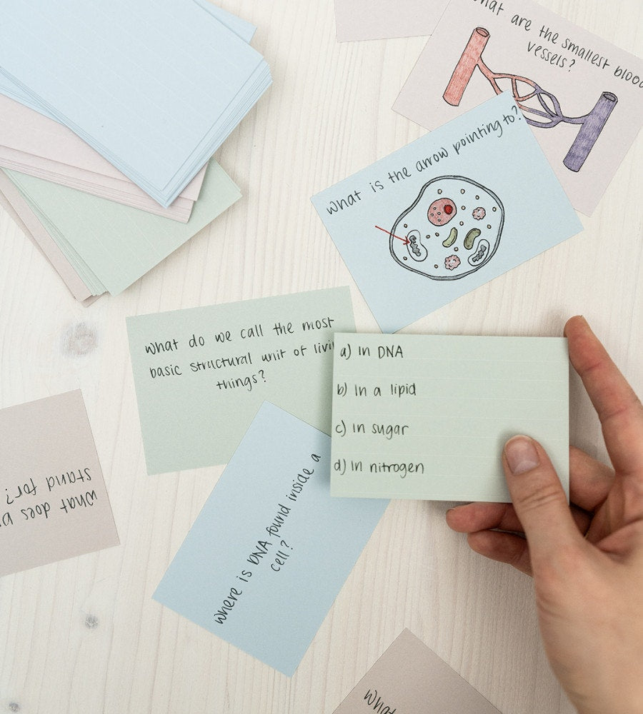 vykort flashcards - misty pastel (flashcards) flerfärgad