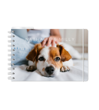 Almanakk - Spiral Stor