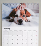 Selvklebende veggkrok for å henge opp kalender uten spiker