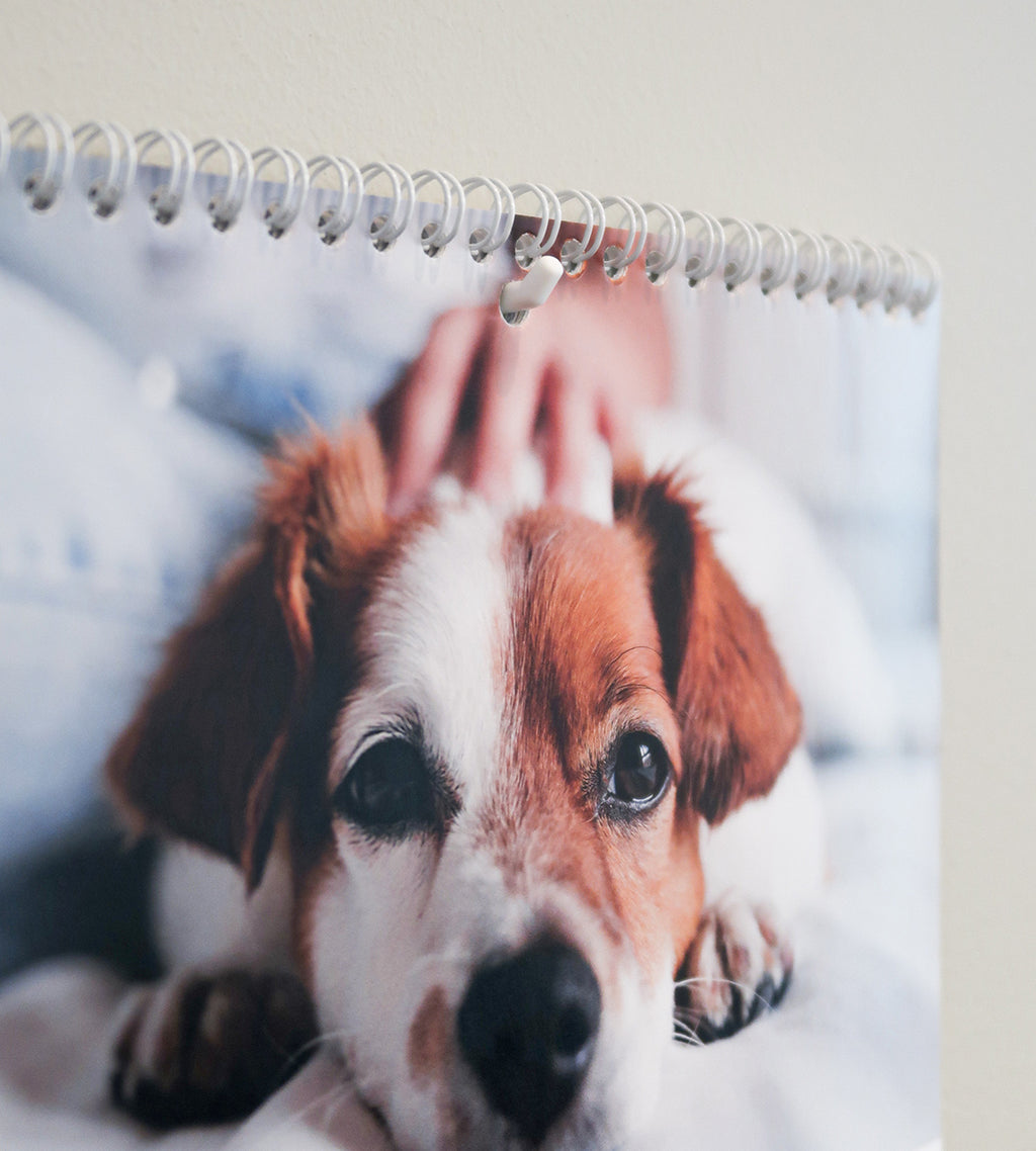 Diskret selvklebende krok til veggkalender fra Personal Planner