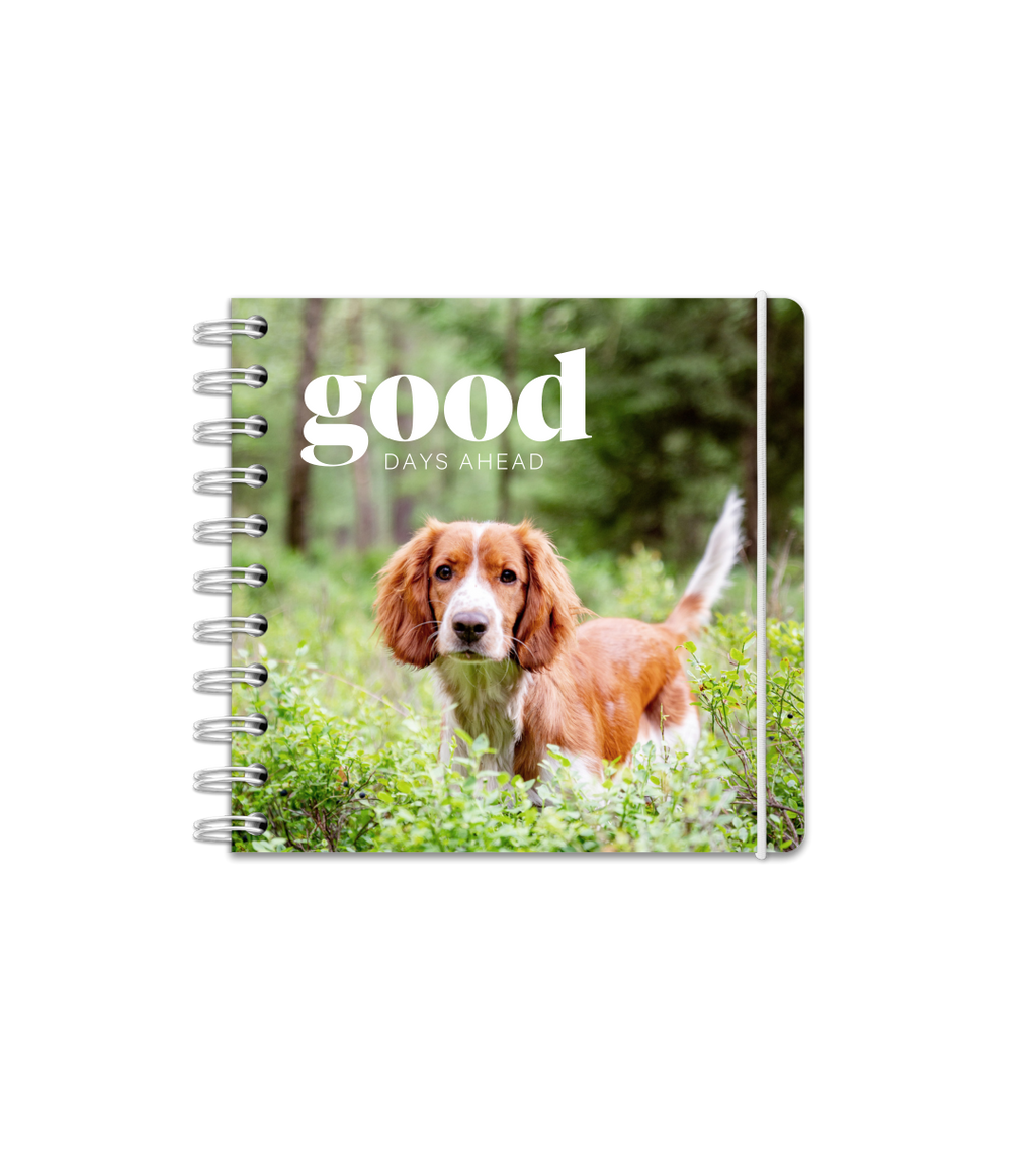 Almanakk - Spiral Mellom