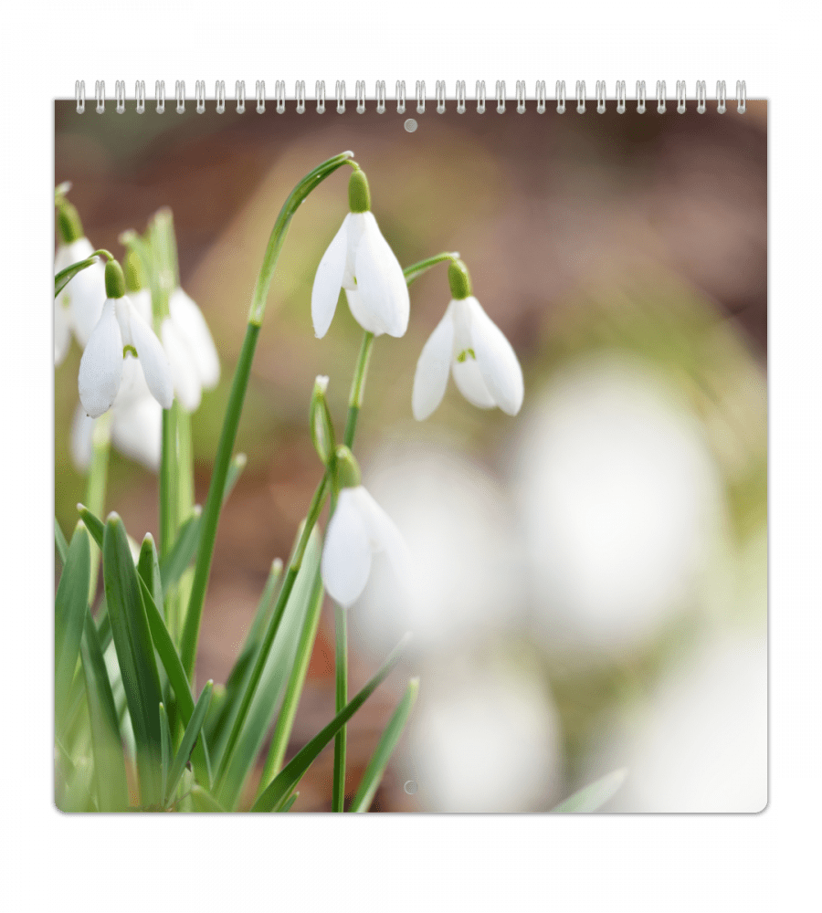 Familiekalender - Ukeoversikt - Personal Planner