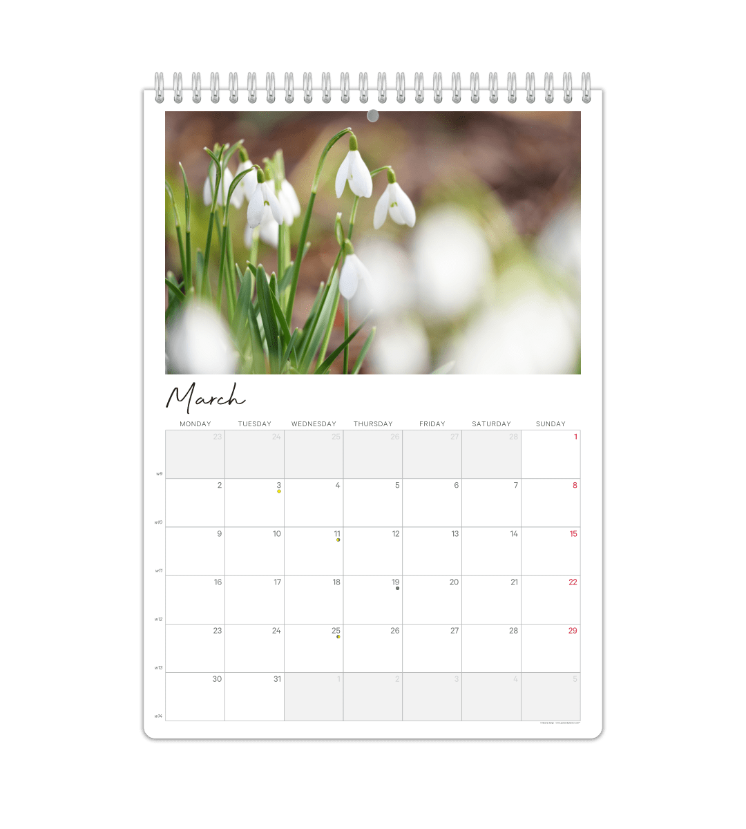 Fotokalender - Månadsöversikt - Personal Planner