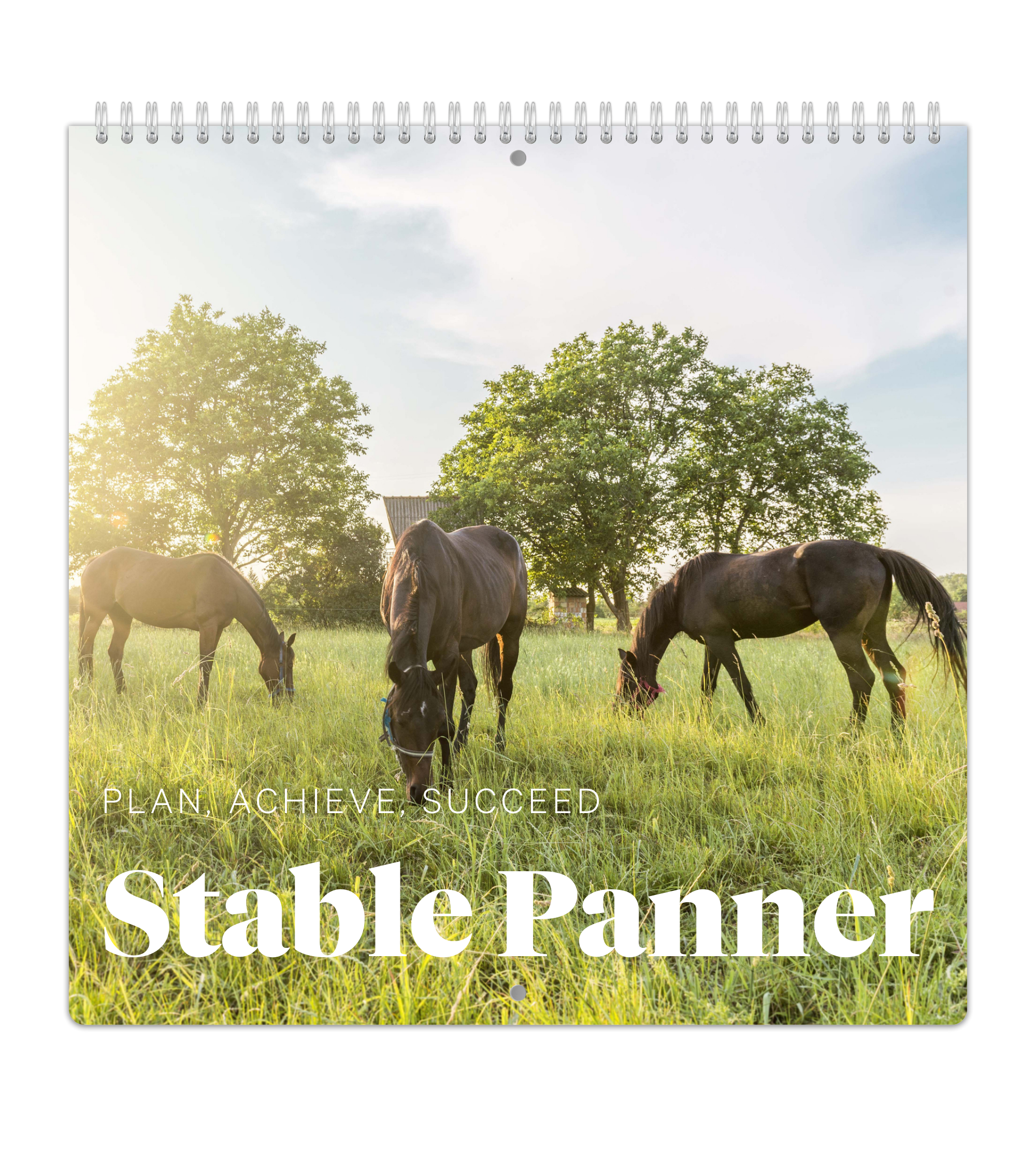 Ukeoversikt - Stallkalender
