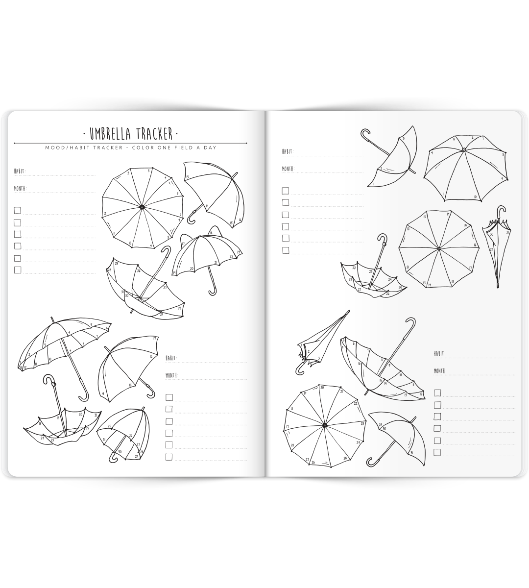 My Bullet Journal